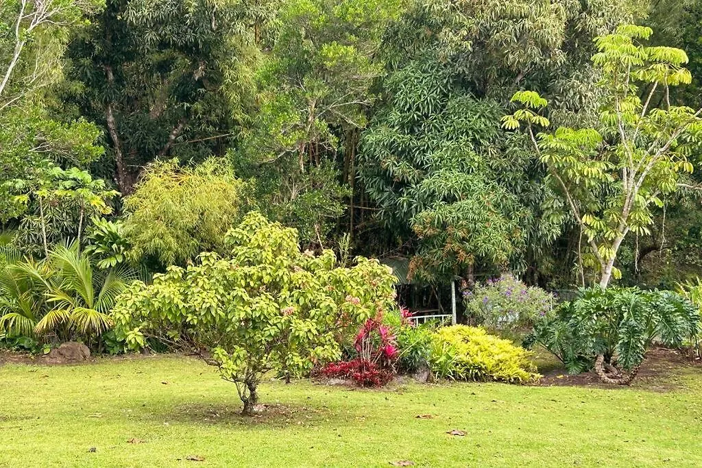 Chalet Riverside Dream-Rio Toa Vaca Coamo