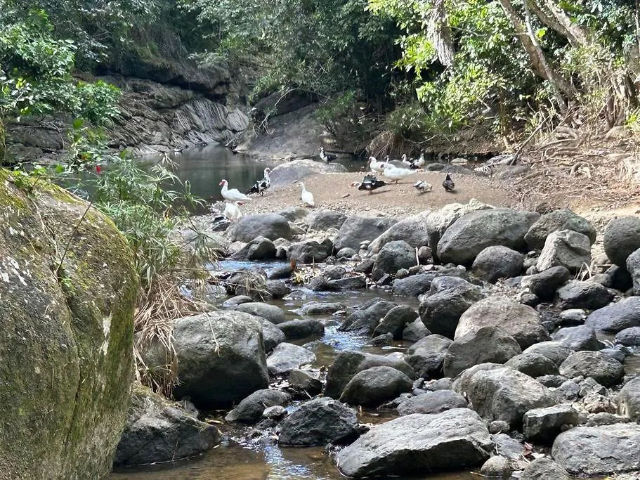 Riverside Dream-Rio Toa Vaca Coamo 0*,  Puerto Rico