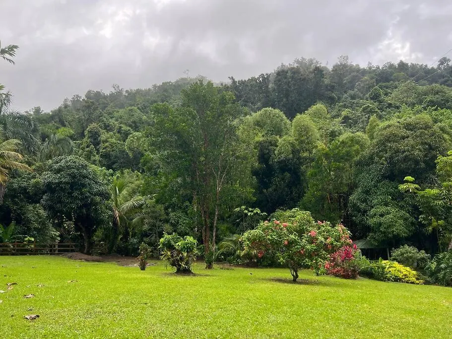Riverside Dream-Rio Toa Vaca Coamo