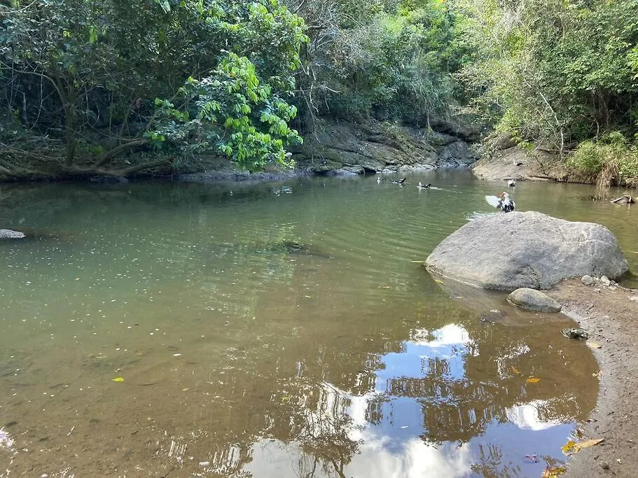 Riverside Dream-Rio Toa Vaca Coamo